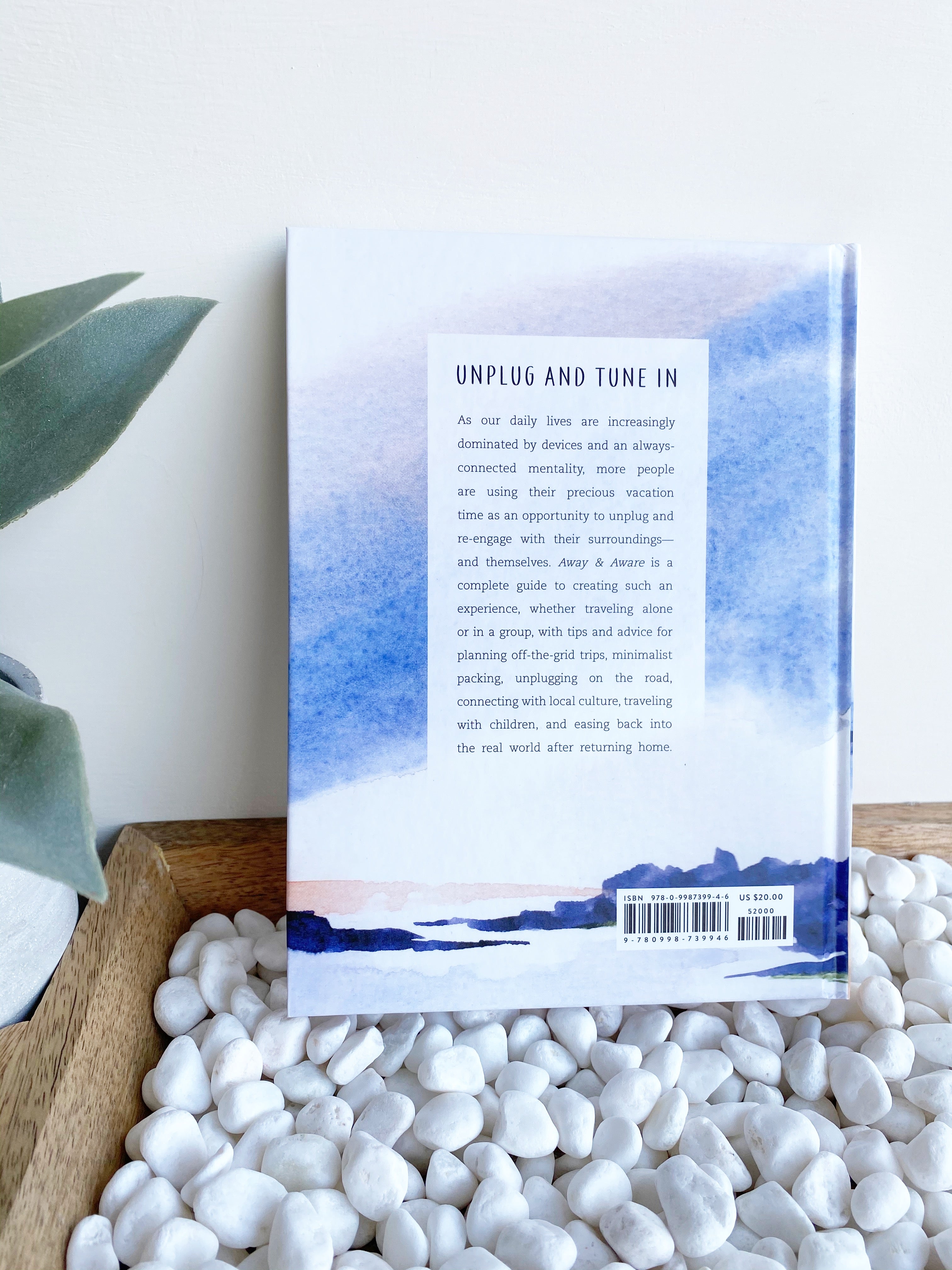 The hardcover book sits upright against a white wall, sitting atop a wooden tray filled with white pebbles. There is a green plant peeking over the left side. There is abstract light and dark blue artwork with a white rectangle over it. Inside the rectangle is black text in a paragraph describing the book. There is a barcode in the bottom right corner.